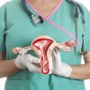 Gynecological Oncology (Gynecologic Cancers)