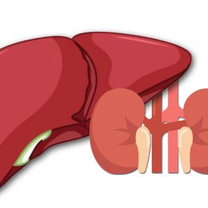 Liver and Kidney Transplant