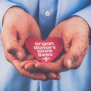 Organ Transplantation Centers