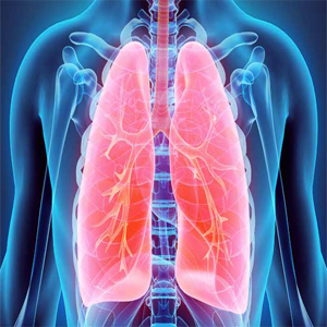 Chest diseases (lung diseases)
