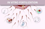 IVF And Reproductive Health Center