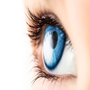 Eye Health and Diseases